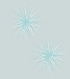 decorative motes
